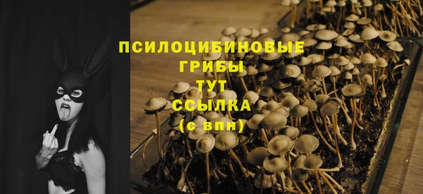 таблы Рославль