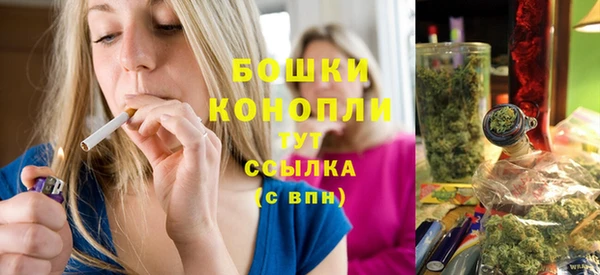 ПСИЛОЦИБИНОВЫЕ ГРИБЫ Балахна