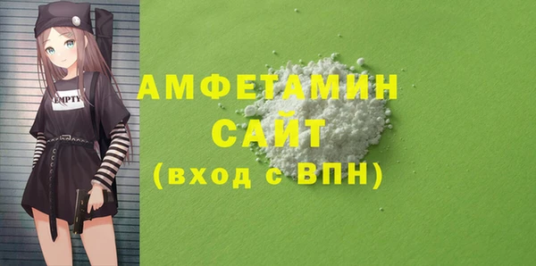 соль ск Инсар